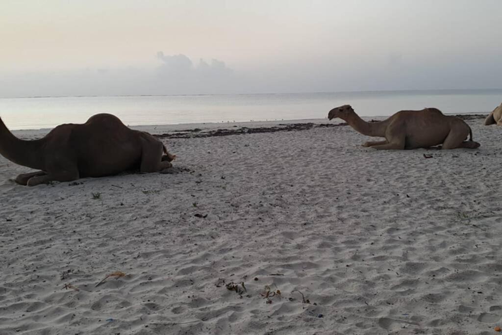 Cowrie Beach Haven Studio Apartment Mombasa Luaran gambar